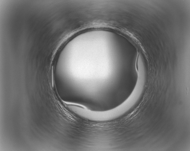 X0000053121175200508081244