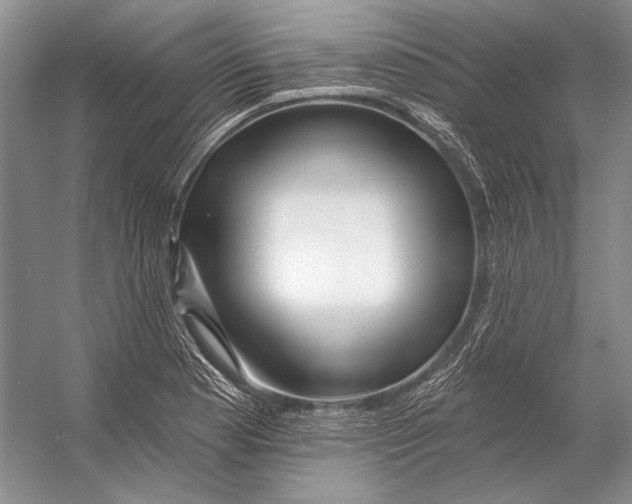 X0000053121177200508081244