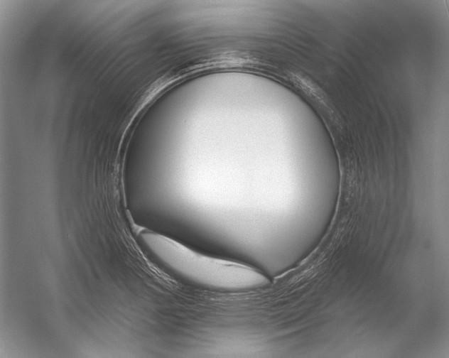 X0000053121178200508081244