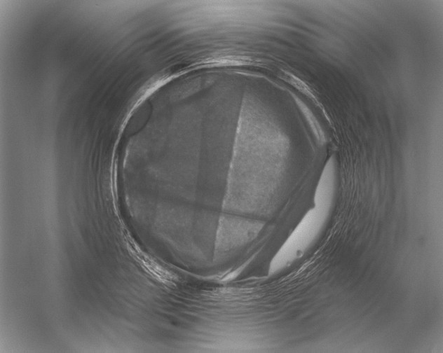 X0000053121179200508081244