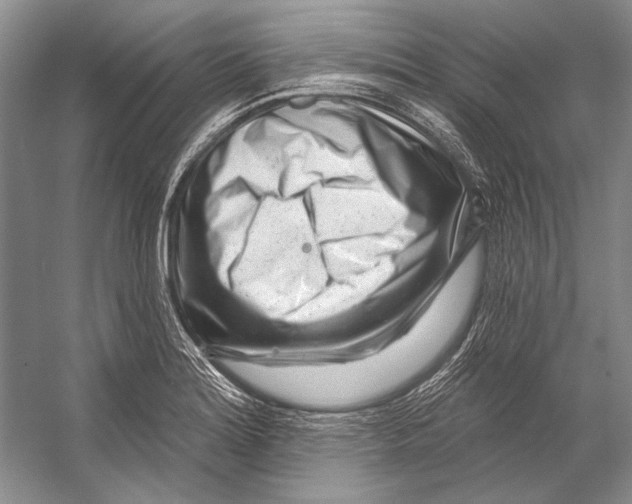 X0000053121180200508081244