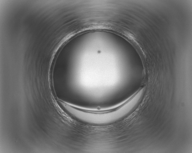 X0000053121181200508081244