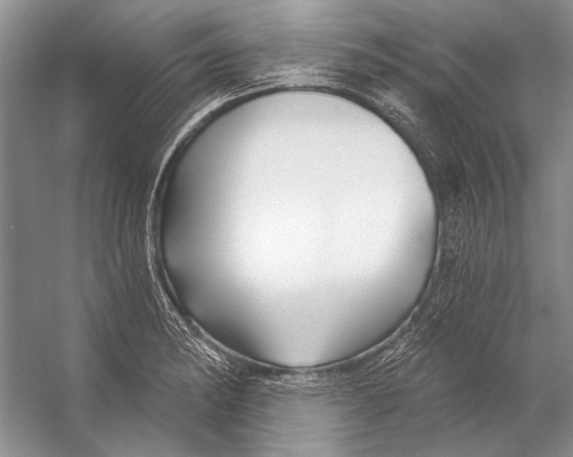 X0000053121182200508081244