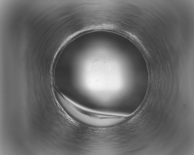 X0000053121184200508081244