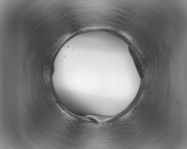 X0000053121185200508081244