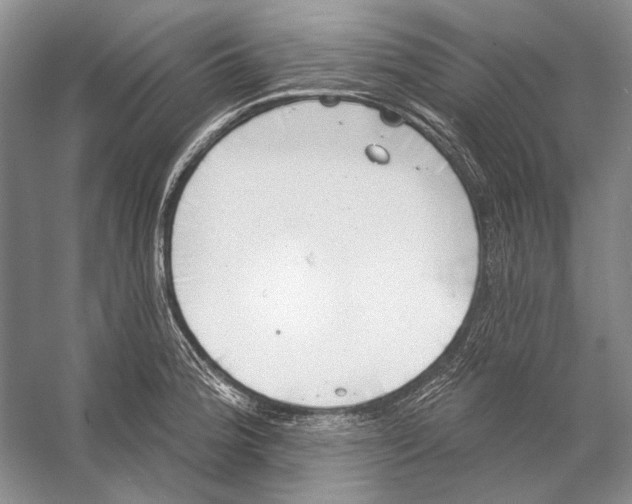 X0000053121188200508081243