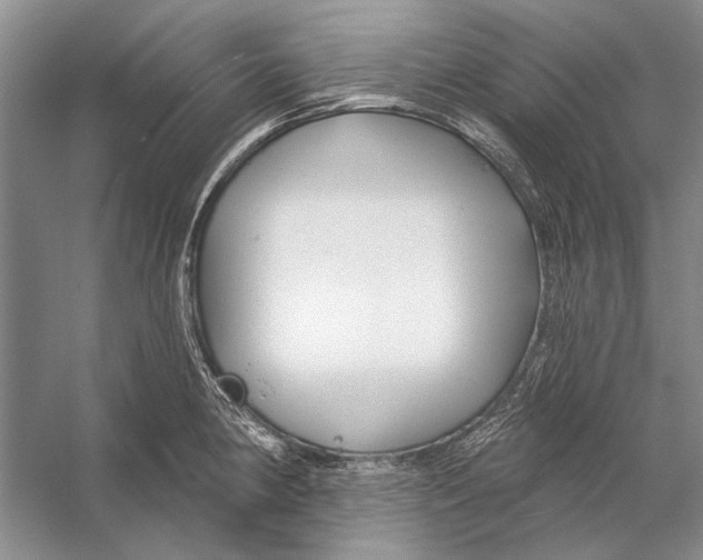 X0000053121190200508081243