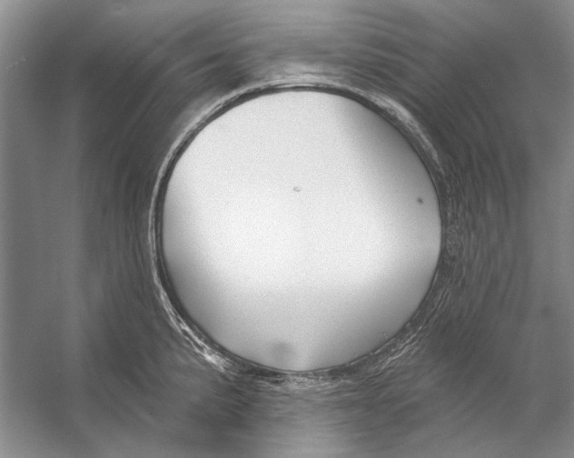 X0000053121191200508081243