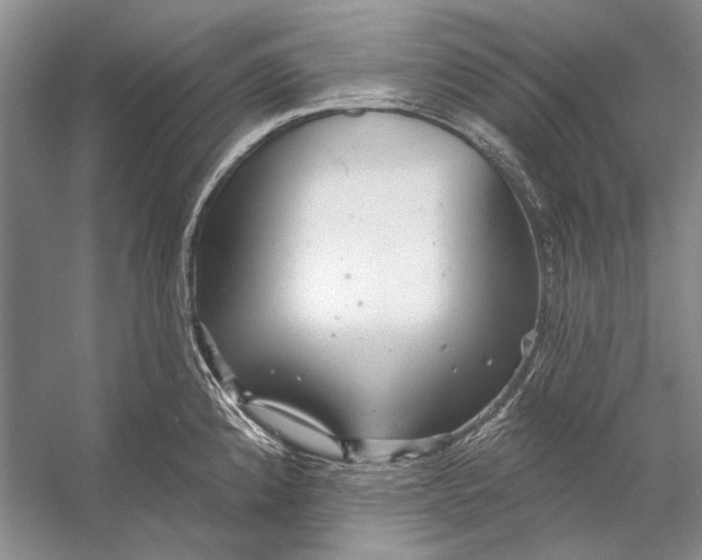 X0000053121192200508081243