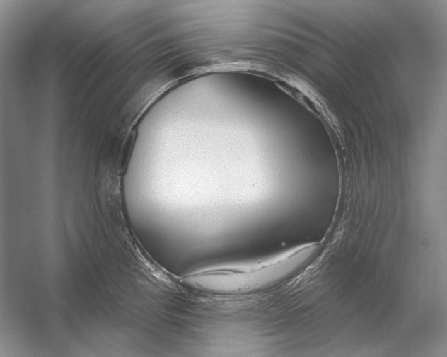 X0000053121193200508081243