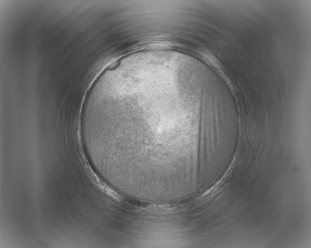 X0000053121194200508081243