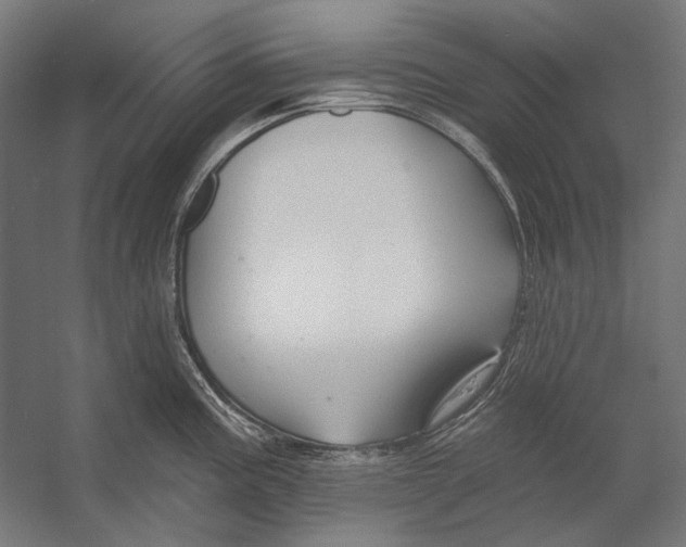 X0000053121195200508081243