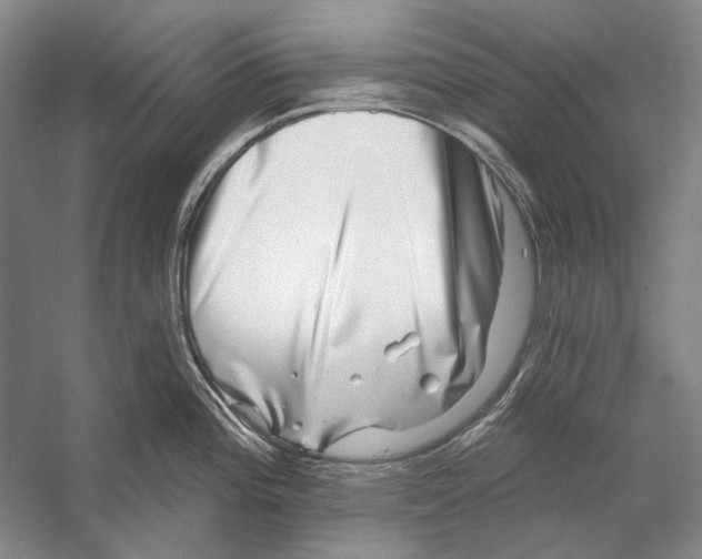 X0000053121196200508081243