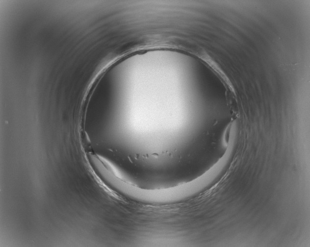 X0000053121197200508081243