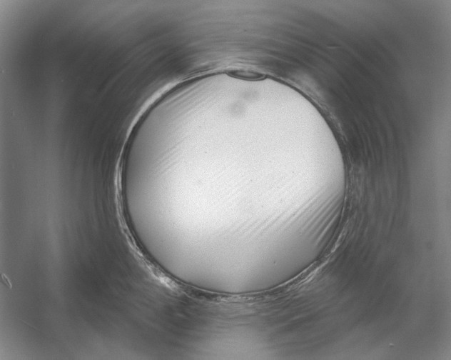 X0000053121198200508081243