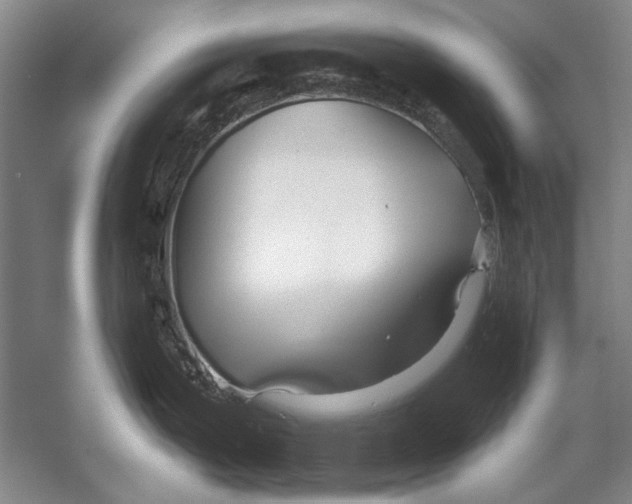 X0000053121199200508081243