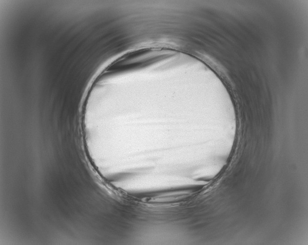 X0000053121200200508081243