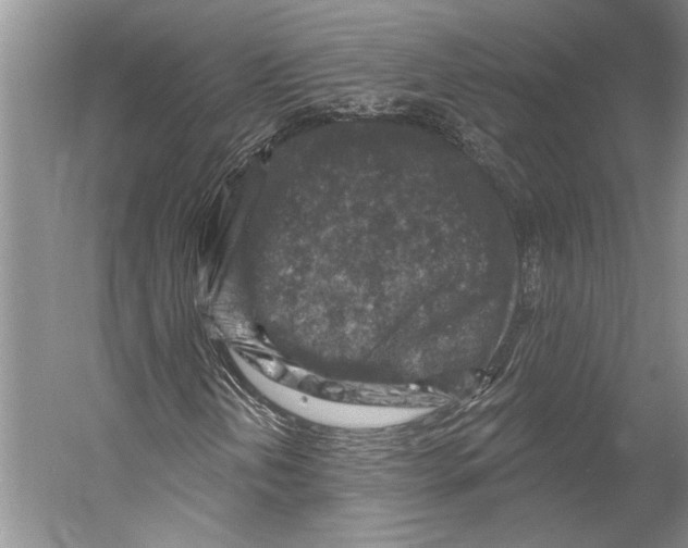 X0000053121202200508081242