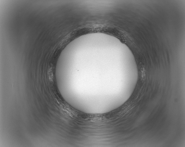 X0000053121204200508081243