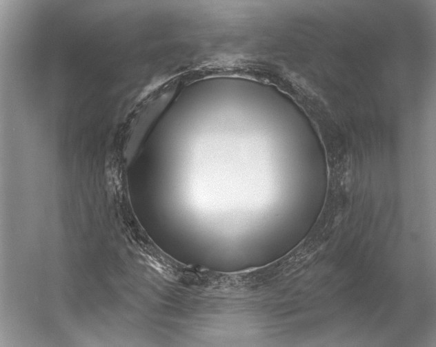 X0000053121206200508081243