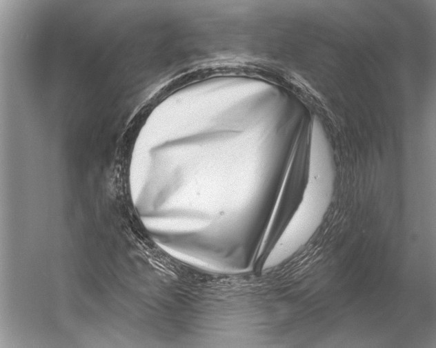 X0000053121208200508081243