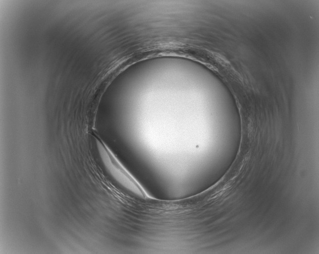 X0000053121209200508081243