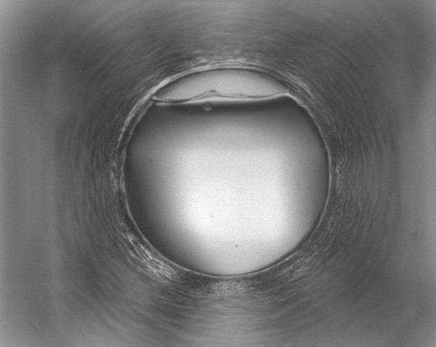 X0000053121212200508081243