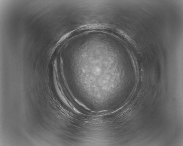 X0000053121213200508081243