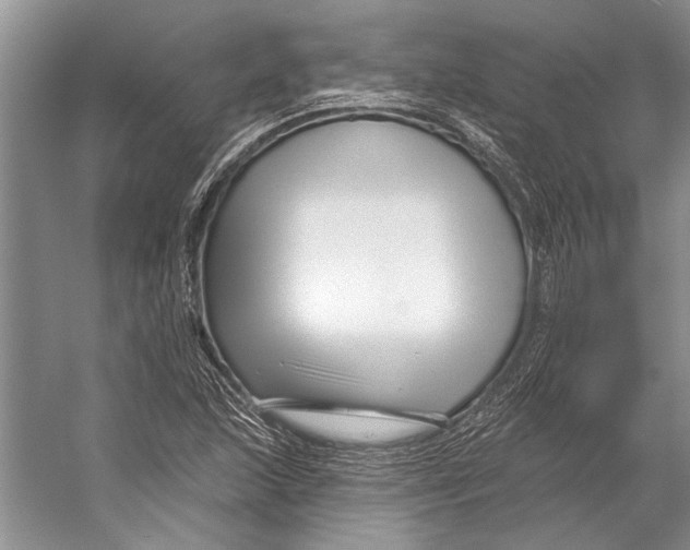 X0000053121215200508081243