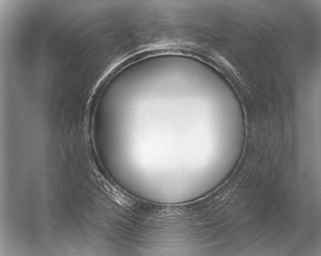 X0000053121216200508081243