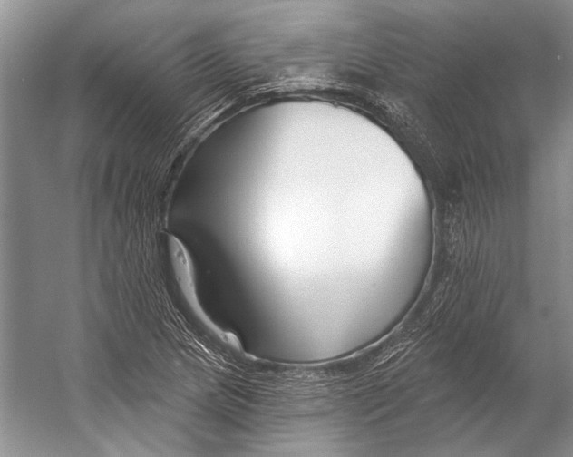 X0000053121217200508081243