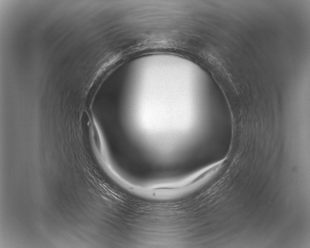 X0000053121218200508081243