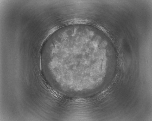 X0000053121219200508081243