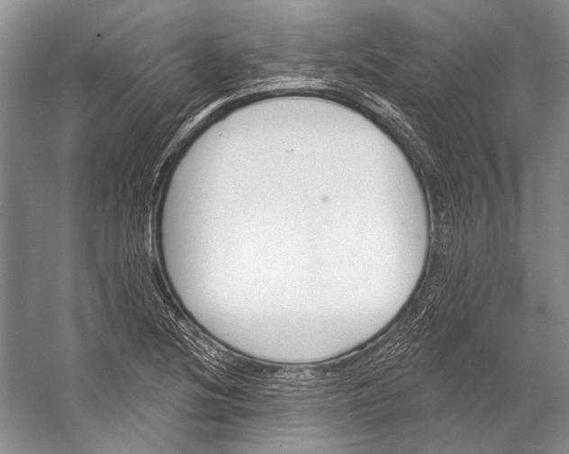 X0000053121220200508081243