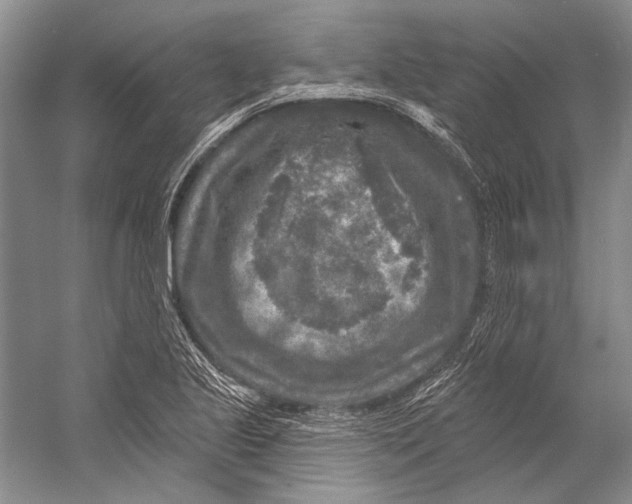 X0000053121221200508081243