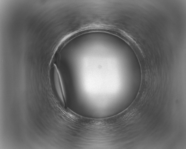 X0000053121222200508081243