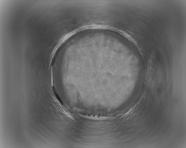 X0000053121223200508081243