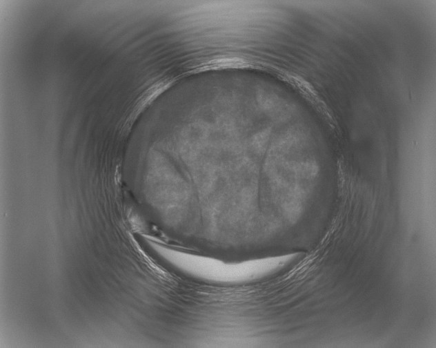 X0000053121225200508081243