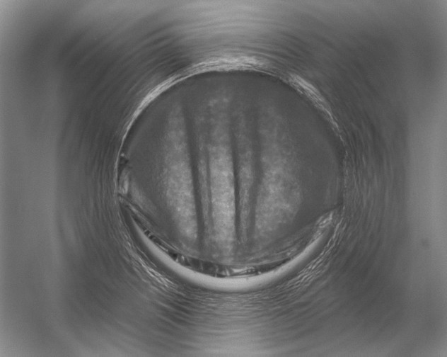 X0000053121226200508081243