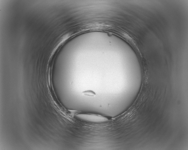 X0000053121227200508081243