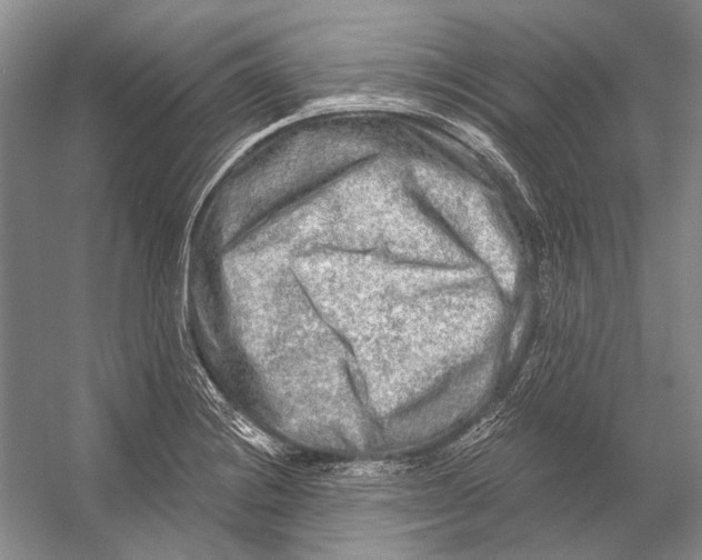 X0000053121228200508081243