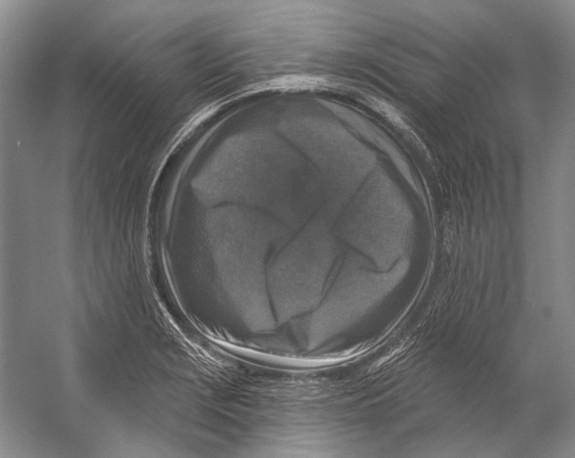 X0000053121229200508081243