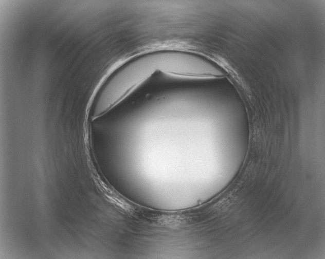 X0000053121232200508081243