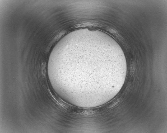 X0000053121233200508081243