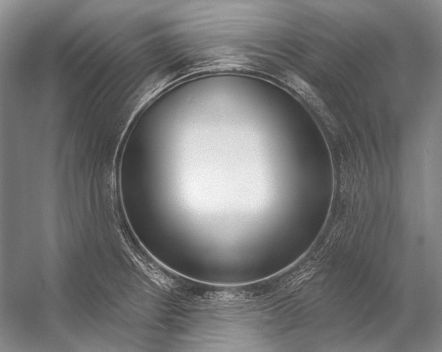 X0000053121234200508081243