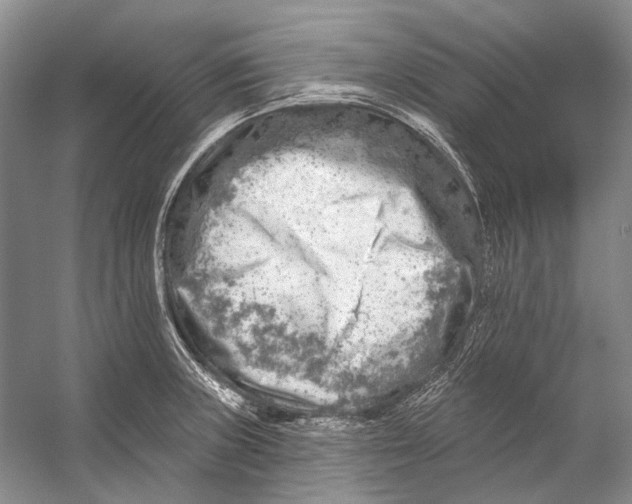 X0000053121235200508081243