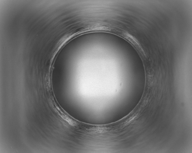 X0000053121236200508081243