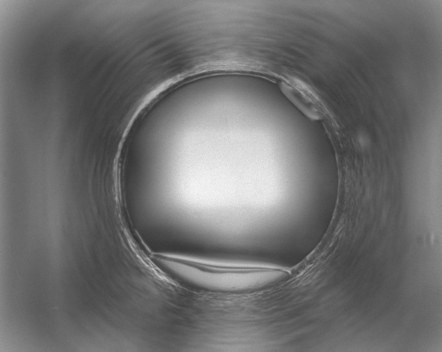 X0000053121238200508081243