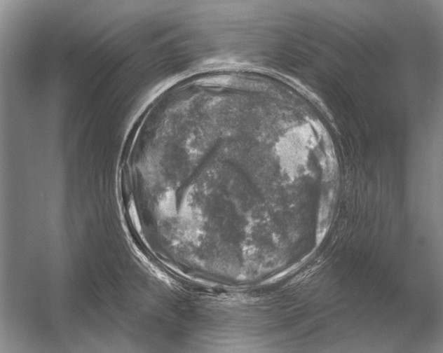 X0000053121239200508081243