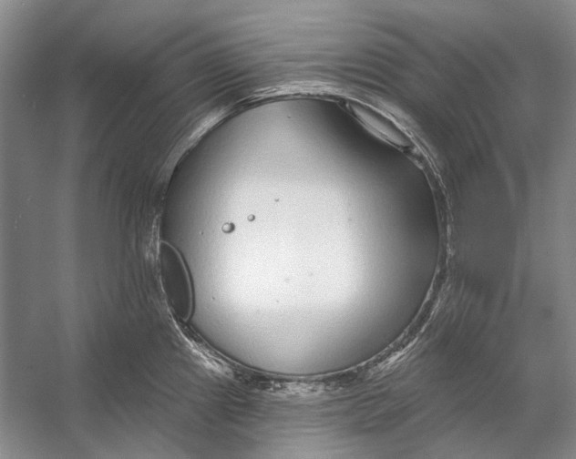 X0000053121241200508081243